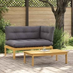 Vidaxl 2 Kos Akacijev les Svetlo rjava