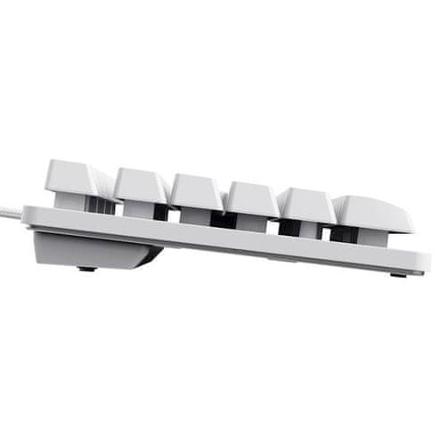 Trust Tipkovnica Thado TKL Osvetljena GXT833 Bela
