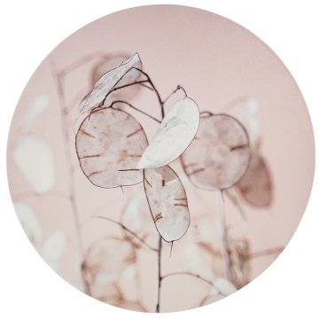 Ljubki dom Stenska dekoracija JUDOVA MEDALJA Ø 58 cm