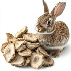 shumee Herbal Pets - Naravni čips iz jeruzalemske artičoke 75 g
