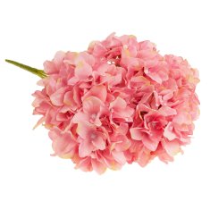 33 Šopek hortenzij CV15124-3 5 roza cvetov za vazo 50 cm