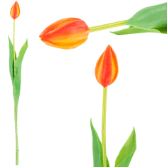 33 Enojni oranžni gumirani tulipan CV07588-8
