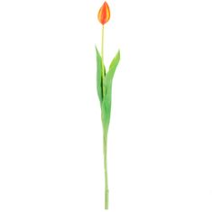 33 Enojni oranžni gumirani tulipan CV07588-8