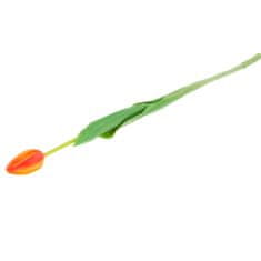 33 Enojni oranžni gumirani tulipan CV07588-8