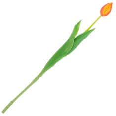 33 Enojni oranžni gumirani tulipan CV07588-8