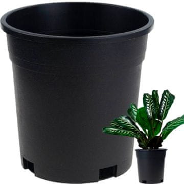 TOP GIFT TG72940 visok pridelovalni lonec P14 1,5L okrogel za sadike z robom 14X14CM