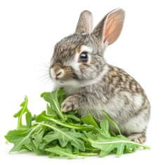 shumee Herbal Pets - Zelišče jeruzalemske artičoke z listi 70 g