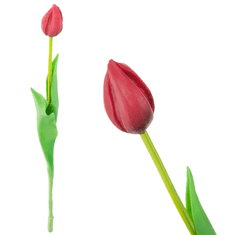 33 Enojni gumirani tulipan rdeč CV07588-10