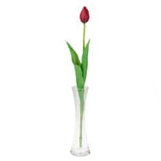 33 Enojni gumirani tulipan rdeč CV07588-10