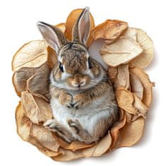 shumee Herbal Pets - Naravni jabolčni čips 100 g