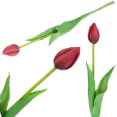 33 Enojni gumirani tulipan rdeč CV07588-10
