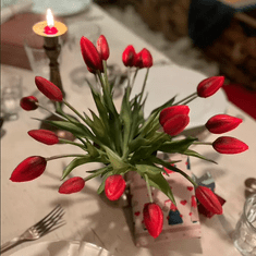 33 Enojni gumirani tulipan rdeč CV07588-10