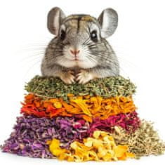 shumee Herbal Pets - Zeliščni šopek za činčile 100 g