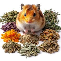 shumee Herbal Pets - Zeliščna in rastlinska hrana za hrčke 150 g