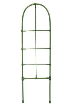 shumee Podpora za rastline lestev 60 cm zelena Bradas 9647