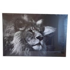shumee Foto slika na platnu Lev 61 x 91 cm