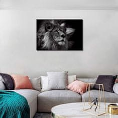 shumee Foto slika na platnu Lev 61 x 91 cm