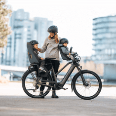 Thule Yepp Nexxt 2 mini otroški sedež za kolo, nameščen spredaj, siv
