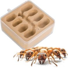 shumee Ant Expert New World - dodatni del za gnezdenje