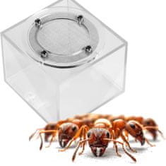 shumee Ant Expert New Land - modul za areno formicarij