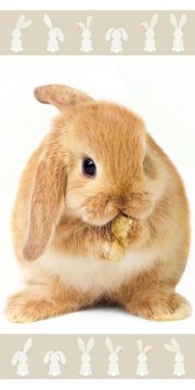 shumee Ręcznik plażowy 70x140 Króliczek królik rudy beżowy Bunny brown 8827