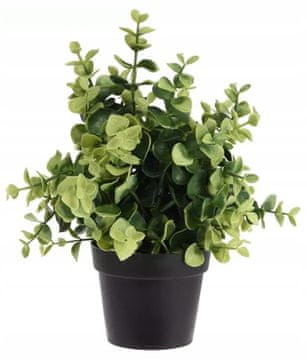 Koopman Umetna okrasna zelena rastlina 23 cm v črnem loncu