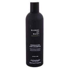 Alfaparf Milano Blends Of Many Energizing poživljajoč šampon za oslabljene lase 250 ml za moške