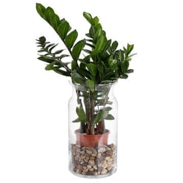 DUIF Steklena vaza BOSE 29,5 cm