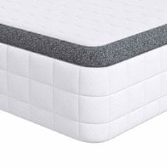 Vidaxl Vzmetnica 2 kos Srednje mehko 80 x 200 cm Bela in siva