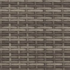 Vidaxl Zunanja klop Siva in temno siva 107 x 61 x 80 cm poli ratan