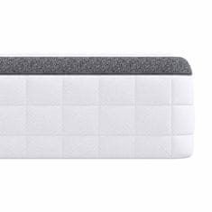 Vidaxl Vzmetnica 2 kos Srednje mehko 80 x 200 cm Bela in siva