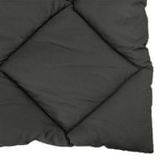 Vidaxl Zimska posteljnina Antracit 200 x 220 cm Mikrovlakna