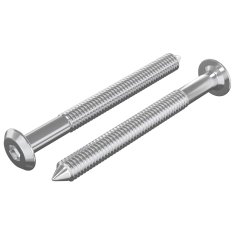 Vidaxl Pohištveni vijaki 2 szt. srebrna M6 x 60 mm Jeklo