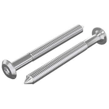 Vidaxl Pohištveni vijaki 2 szt. srebrna M6 x 60 mm Jeklo
