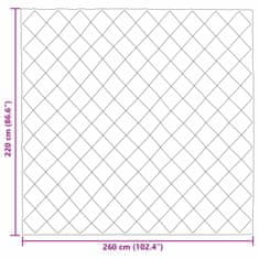 Vidaxl Zimska posteljnina Antracit 220 x 260 cm Mikrovlakna