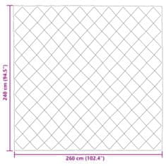 Vidaxl Zimska posteljnina Antracit 240 x 260 cm Mikrovlakna