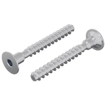 Vidaxl Vijak 2 szt. Cinkano 5 x 40 mm elezo
