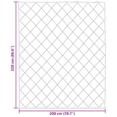 Vidaxl Zimska posteljnina Antracit 200 x 220 cm Mikrovlakna