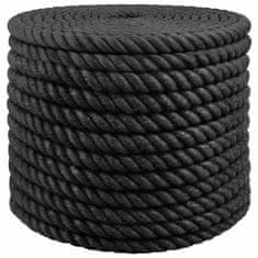 Vidaxl Vrv iz jute 160 mm 100 m Črna 100% Tossa jute