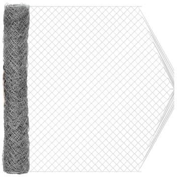 Vidaxl Ograja iz verižne povezave Galvaniziran 2 x 10 m Steklo