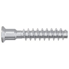 Vidaxl Šefasta vijak 12 szt. srebrna M7 x 40 mm Jeklo