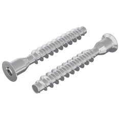 Vidaxl Potrdilni vijaki 2 szt. srebrna Ø7 x 50 mm Kovina