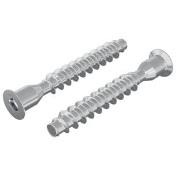 Vidaxl Potrdilni vijaki 2 szt. srebrna Ø7 x 50 mm Kovina