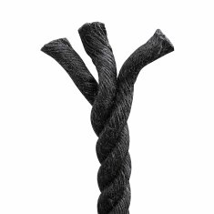 Vidaxl Vrv iz jute 160 mm 100 m Črna 100% Tossa jute