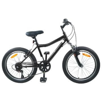 Vidaxl Otroško Kolo 20 Palcev 6-Speed za starost od 6 do 11 let Črna