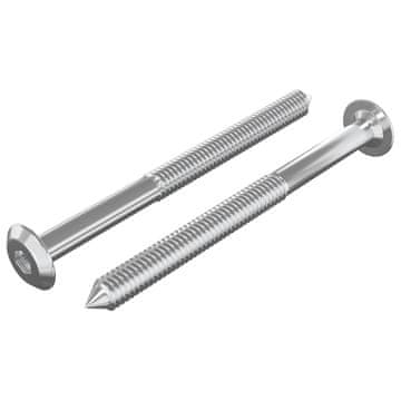 Vidaxl Pohištveni vijaki 2 szt. srebrna M6 x 70 mm Jeklo