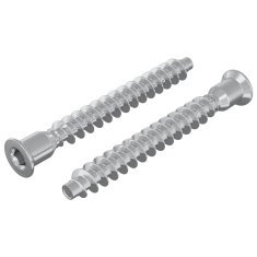 Vidaxl Potrdilni vijaki 2 szt. srebrna Ø7 x 58 mm Kovina