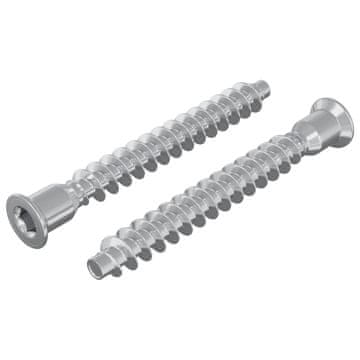 Vidaxl Potrdilni vijaki 2 szt. srebrna Ø7 x 58 mm Kovina
