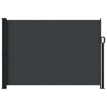 Vidaxl Zložljivo stransko senčilo Črna 300 x 170 cm Poliester