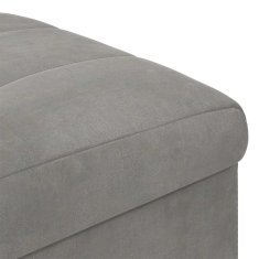 Vidaxl Ottoman s shranjevanjem Svetlo siva 40 x 40 x 45 cm Žamet